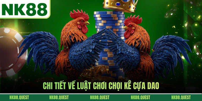 Chi tiết về luật chơi chọi kê cựa dao