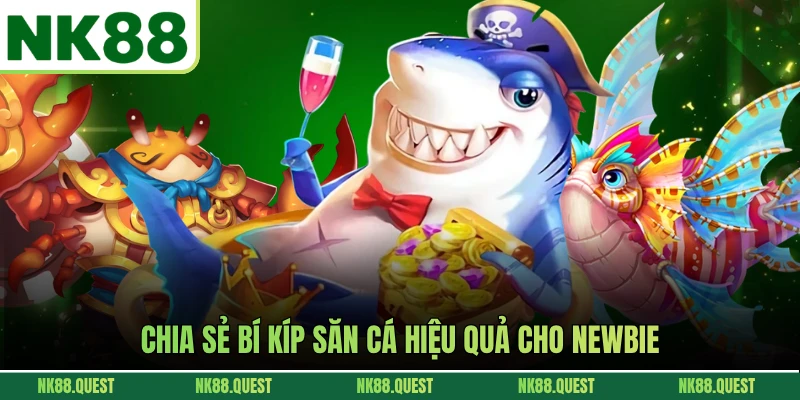 Chia sẻ bí kíp săn cá hiệu quả cho newbie