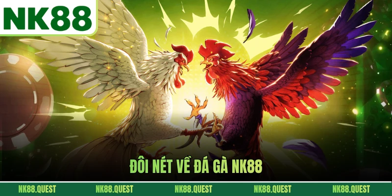 Đôi nét về đá gà NK88