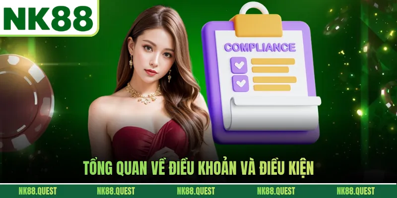 Tổng quan về điều khoản và điều kiện